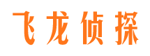 景东市调查公司